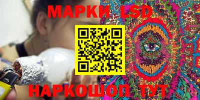 спиды Новодвинск