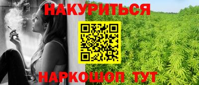 спиды Новодвинск