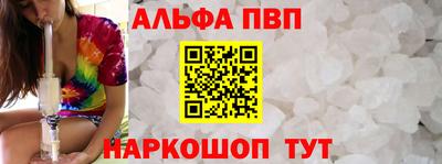 спиды Новодвинск