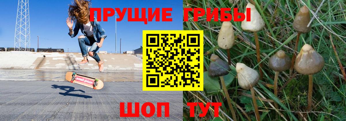 Псилоцибиновые грибы Magic Shrooms Тольятти